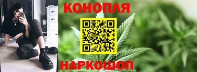 шишки Анжеро-Судженск