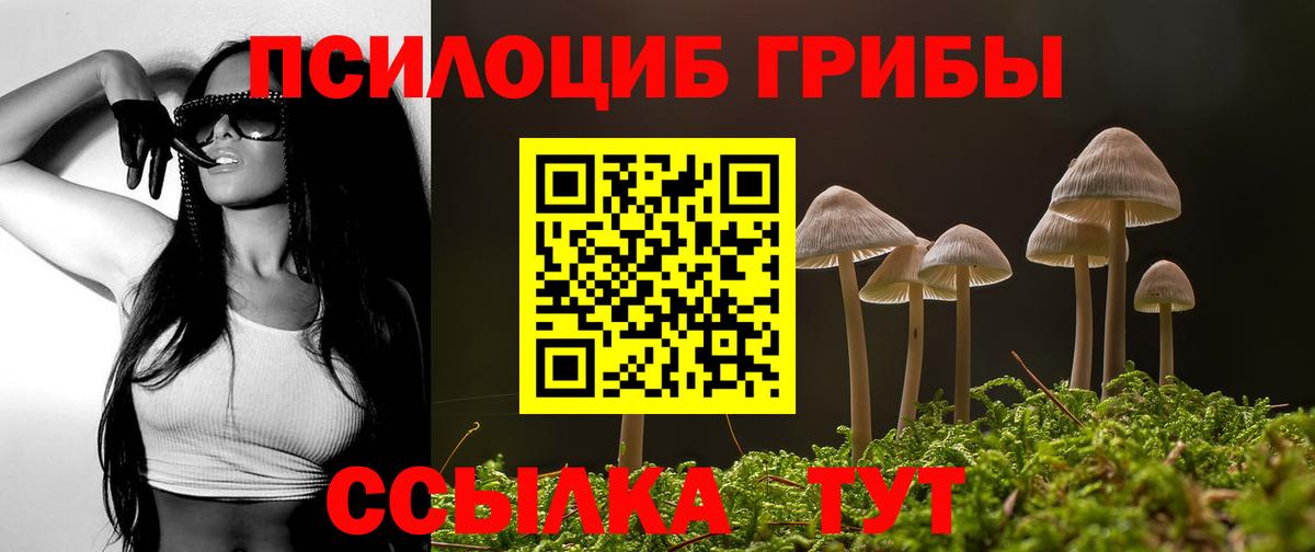 Галлюциногенные грибы GOLDEN TEACHER Амурск