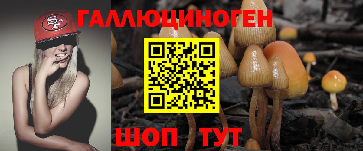 Псилоцибиновые грибы MAGIC MUSHROOMS  Псилоцибиновые грибы Psilocybe  Вход с VPN  Амурск 
